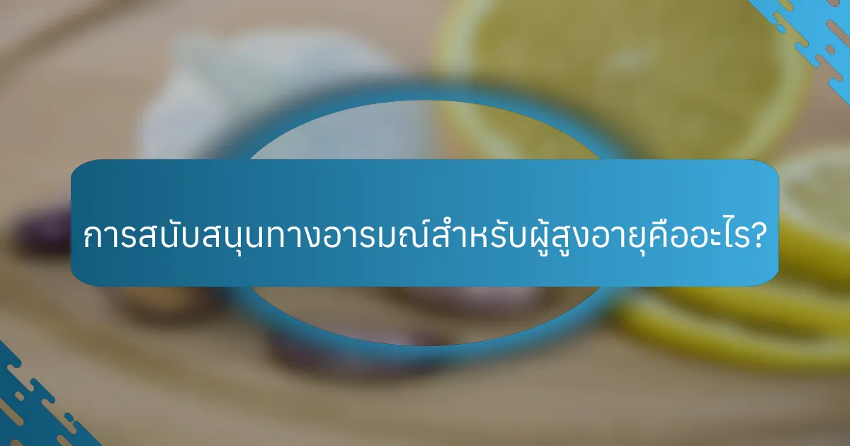 การสนับสนุนทางอารมณ์สำหรับผู้สูงอายุคืออะไร?