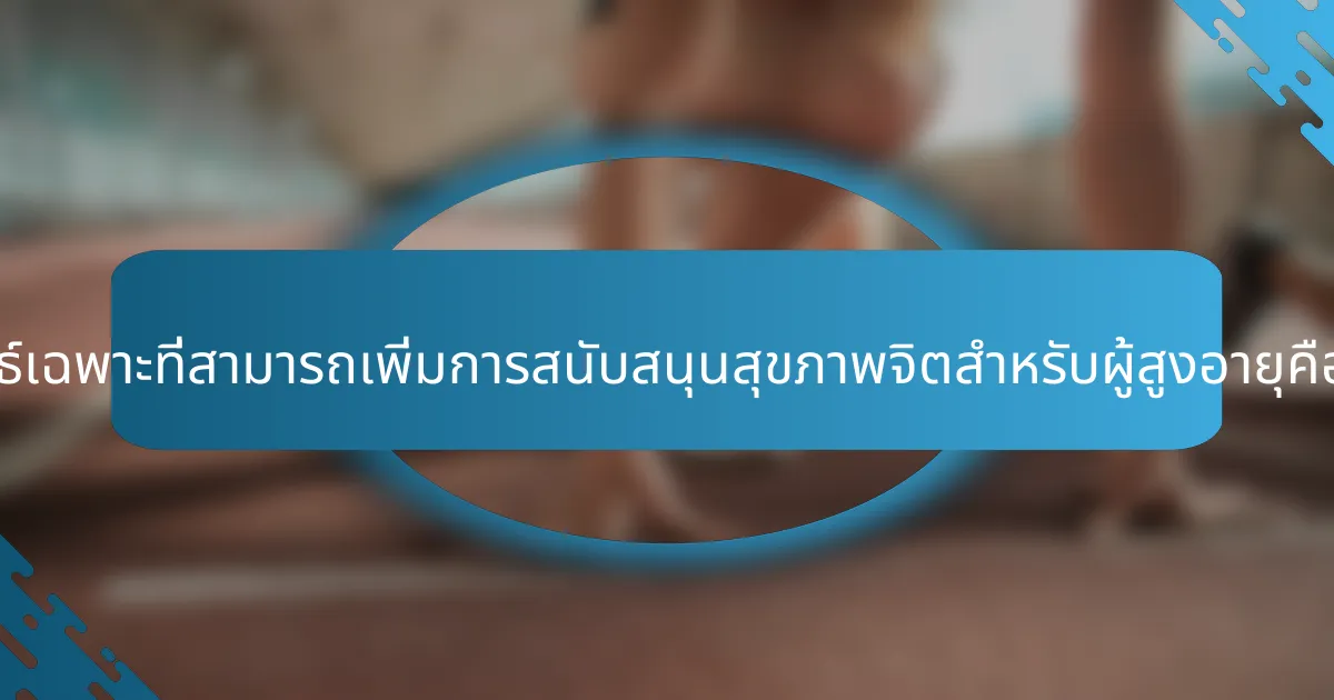 กลยุทธ์เฉพาะที่สามารถเพิ่มการสนับสนุนสุขภาพจิตสำหรับผู้สูงอายุคืออะไร?