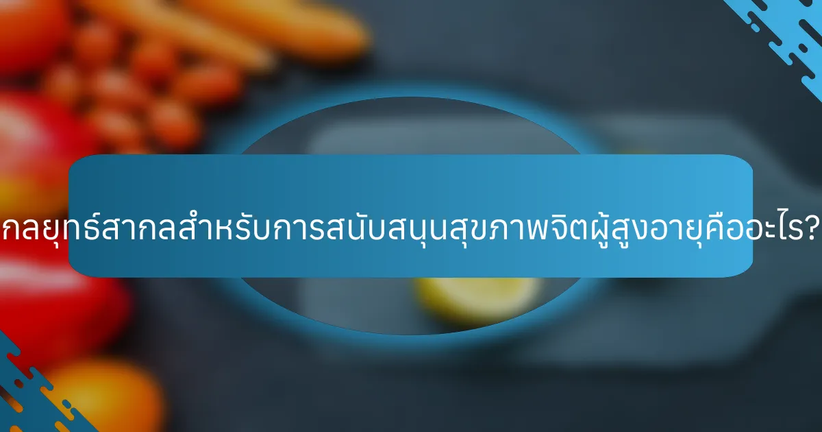 กลยุทธ์สากลสำหรับการสนับสนุนสุขภาพจิตผู้สูงอายุคืออะไร?